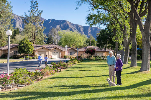 Older couple walking dog 